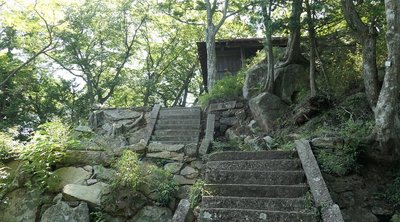 ⛩️ 사시노 신사(사시노 진자) 이미지 2